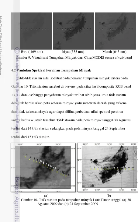 Gambar 9. Visualisasi Tumpahan Minyak dari Citra MODIS secara single band 