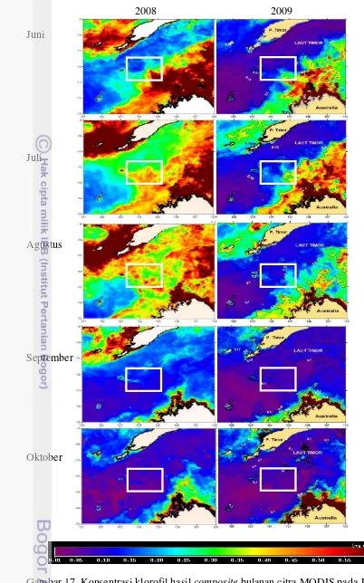 Gambar 17. Konsentrasi klorofil hasil composite bulanan citra MODIS pada Juni- 