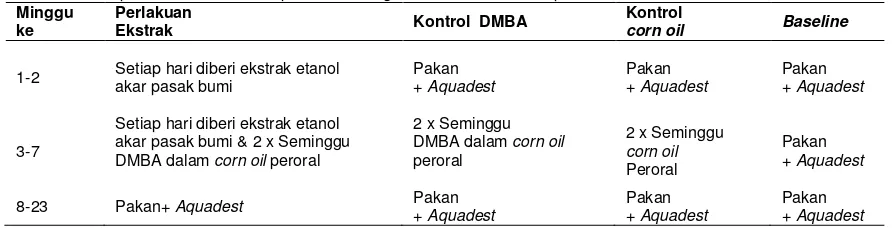Tabel 1–Waktu pemberian DMBA dan perlakuan dengan ekstrak etanol akar pasak bumi 