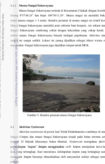 Gambar 5. Kondisi perairan muara Sungai Sukawayana 
