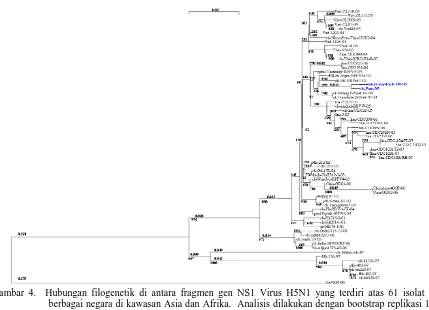 Gambar 4.  Hubungan filogenetik di antara fragmen gen NS1 Virus H5N1 yang terdiri atas 61 isolat dari  berbagai negara di kawasan Asia dan Afrika