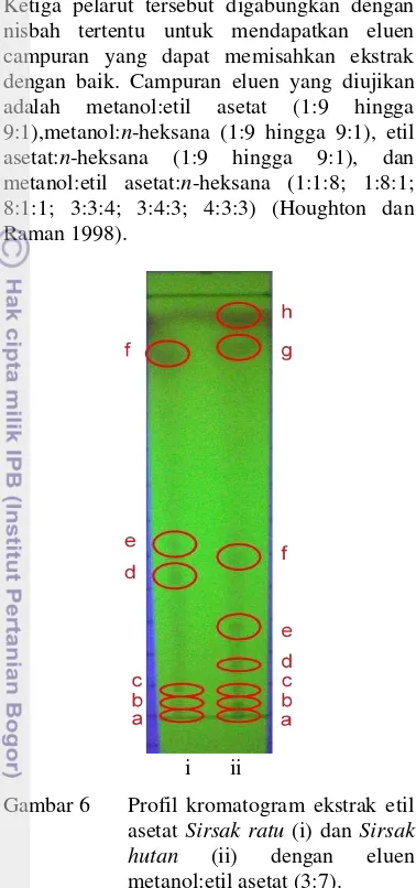 Gambar 6   Profil kromatogram ekstrak etil 