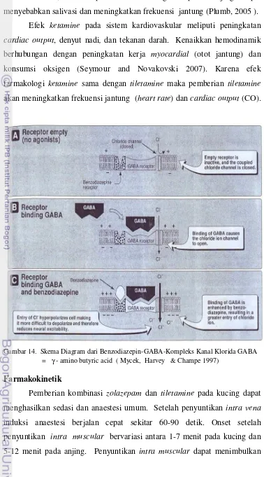 Gambar 14.  Skema Diagram dari Benzodiazepin-GABA-Kompleks Kanal Klorida GABA      