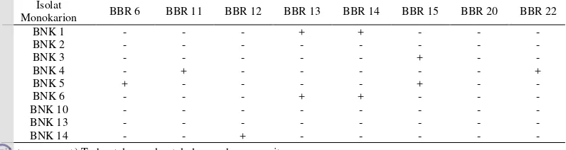 Tabel 1 Uji Kompatibilitas Antara Isolat Monokarion BNK dan BBR 