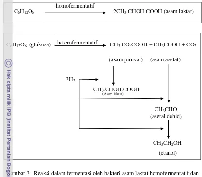 Gambar 3   Reaksi dalam fermentasi oleh bakteri asam laktat homofermentatif dan 