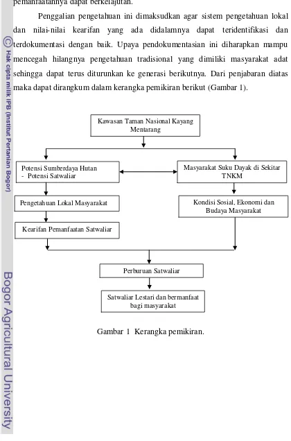 Gambar 1  Kerangka pemikiran. 