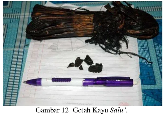 Gambar 12  Getah Kayu Salu’. 