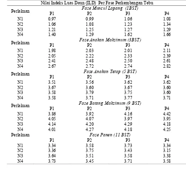 Tabel 6.  Nilai Indeks Luas Daun (ILD) Tanaman Tebu pada Tingkat Pemupukan N dan P per Fase Perkembangan Tanaman Tebu