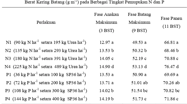 Tabel 12. Berat Kering Batang Tebu pada Tingkat Pemupukan N dan P                  Saat Fase Anakan Maksimum (3 BST), Fase Batang Maksimum               (9 BST) dan Fase Panen  (11 BST)