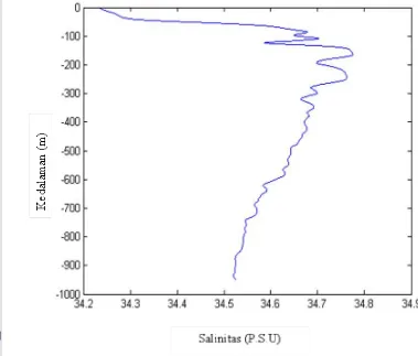 Gambar 6. Grafik Hubungan Salinitas dan Kedalaman Secara Vertikal 