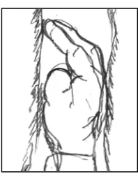 Gambar 13. Hand Crack Sumber : Gladian Nasional (2001 : 41) 