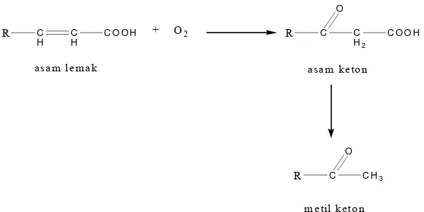 Gambar 4. Reaksi oksidasi asam lemak 