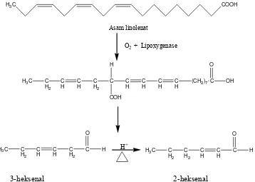 Gambar 6. reaksi oksidasi oleh enzim lipase (Winarno, 1995) 