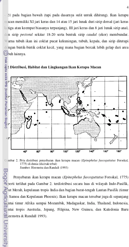 Gambar 2. Peta distribusi penyebaran ikan kerapu macan (Epinephelus fuscoguttatus Forsskal, 