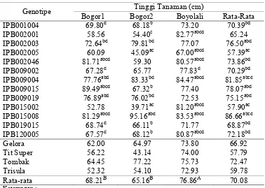 Tabel 10. Rataan Tinggi Tanaman 13 Galur Cabai IPB yang Diuji dan 4 Varietas Pembanding di 3 Lingkungan