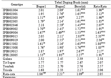 Tabel 17. Rataan Tebal  Daging  Buah  13 Galur  Cabai  IPB  yang  Diuji  dan          4 Varietas Pembanding di Tiga Lingkungan