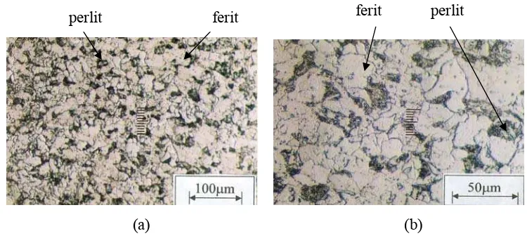 Gambar 4-1  Foto struktur mikro raw materials 