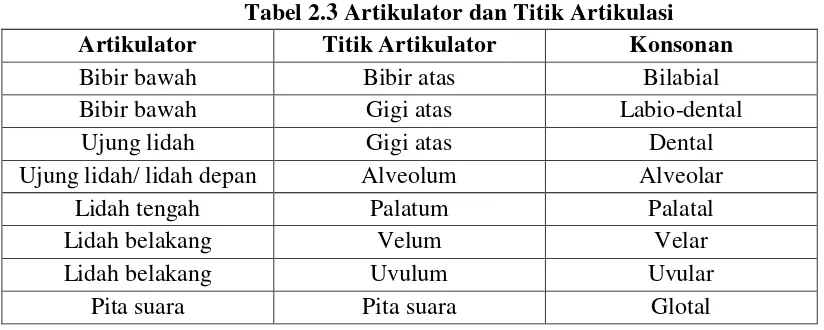 Tabel 2.3 Artikulator dan Titik Artikulasi 