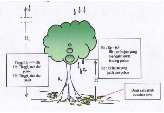 Gambar 1.3 Pengaruh Pohon Terhadap Air Hujan 