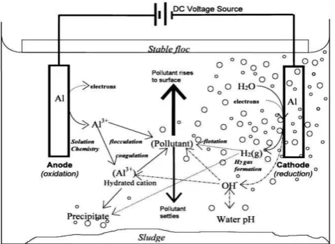Gambar 2.1 Mekanisme dalam elektrokoagulasi (Holt, 2006) 