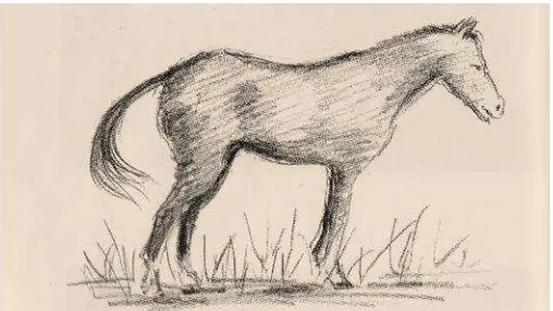 Gambar 3. Kuda 