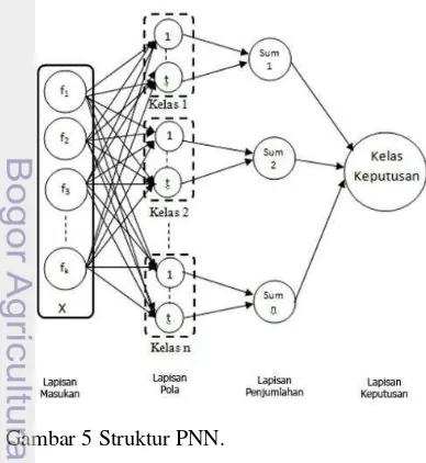 Gambar 5 Struktur PNN. 
