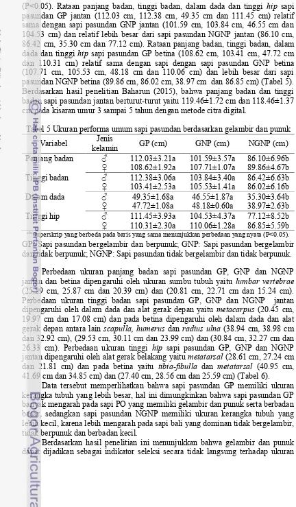 Tabel 5 Ukuran performa umum sapi pasundan berdasarkan gelambir dan punuk 