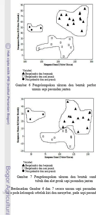 Gambar 6 Pengelompokan ukuran dan bentuk performa 