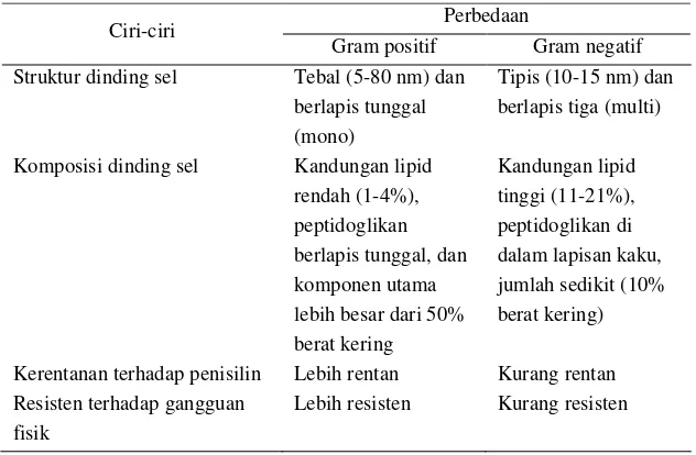 Tabel 2. Perbedaan bakteri Gram positif dan negatif