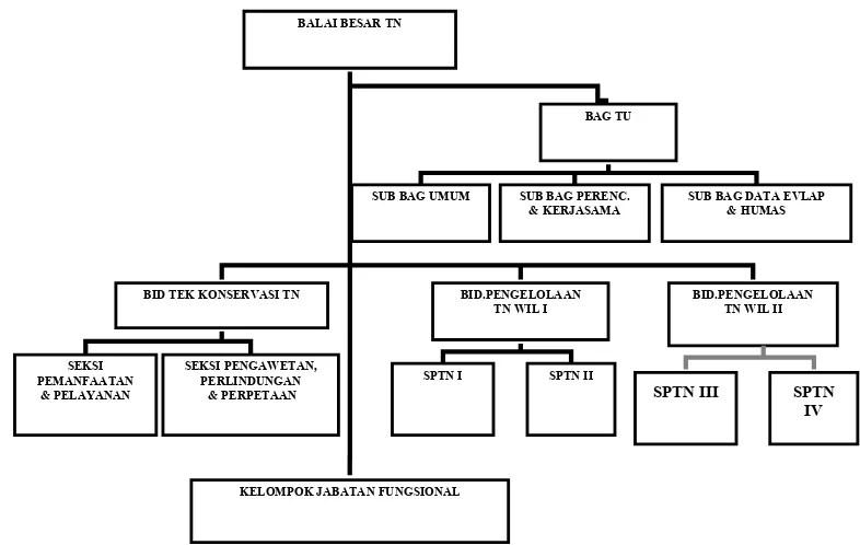 Gambar 6. Struktur Organisasi Balai Taman Nasional Bukit Barisan Selatan 