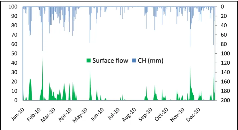 Gambar 10 Level aliran pada surface flow  tanggal 1 Januari - 31 Desember 2010. 