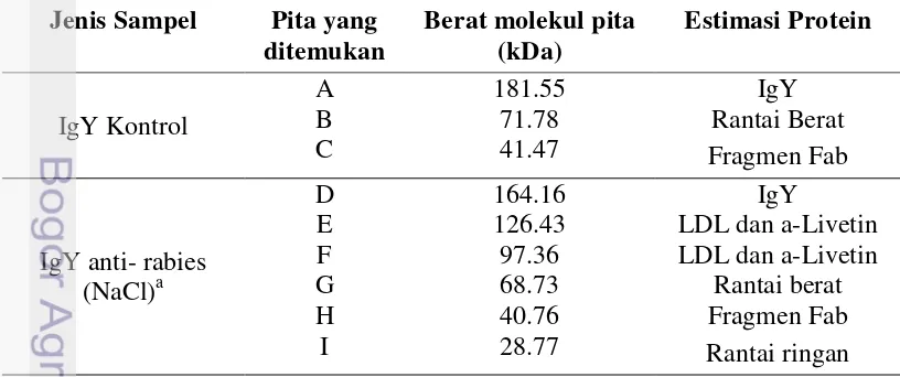 Tabel 2 Berat molekul komponen-komponen protein dan masing-masingpita 