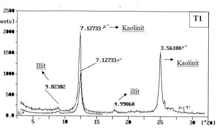 Gambar 9.  Grafik Analisis X-Ray pada Kelompok Mineral T2 