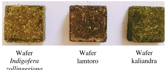 Gambar 2  Wafer suplemen leguminosa 