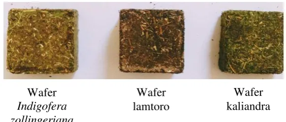 Gambar 2  Wafer suplemen leguminosa 