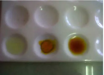 Gambar 7 Hasil uji alkaloid ekstrak air daun wungu dari kiri ke kanan pereaksi Meyer, Dragendorf, dan Wagner 