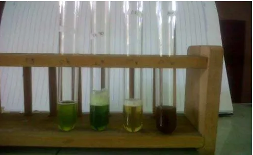 Gambar 10 Hasil uji alkaloid ekstrak etanol 96% dari kiri ke kanan pereaksi Meyer, Dragendorf, dan Wagner 