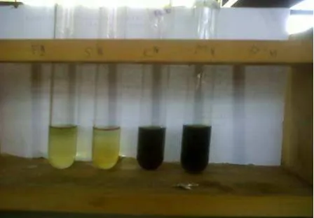 Gambar 13 Hasil uji tanin dari kiri ke kanan ekstrak etanol 96%,      etanol 70%, etanol 30%, dan air daun wungu 
