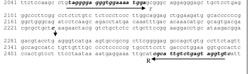 Gambar 4 Posisi mutasi basa ke 2.230 bp pada gen GH ekson lima 