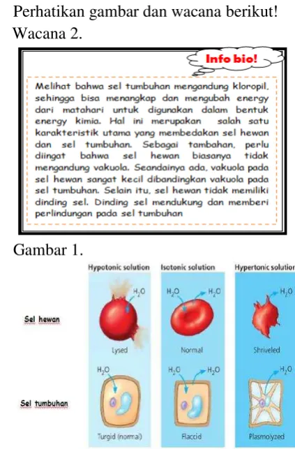 Gambar 1.  