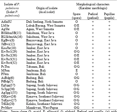 Tabel 2. Karakteristik morfologis isolat P. palmivora indigenus berdasarkan 