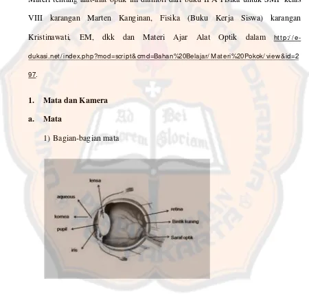 Gambar 1. Bagian-bagian Mata 