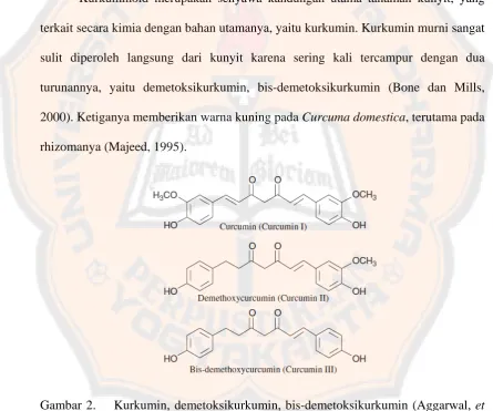 Gambar 2.    Kurkumin, demetoksikurkumin, bis-demetoksikurkumin (Aggarwal, et al., 2006)