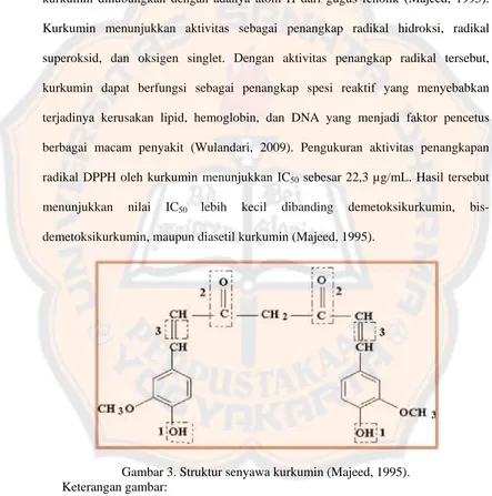 Gambar 3. Struktur senyawa kurkumin (Majeed, 1995). Keterangan gambar: 