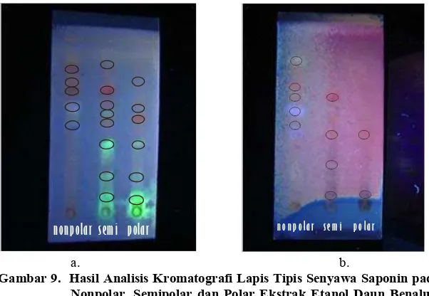 Gambar 9.  Hasil Analisis Kromatografi Lapis Tipis Senyawa Saponin pada Fraksi  Nonpolar, Semipolar dan Polar Ekstrak Etanol Daun Benalu Mangga dideteksi dengan (a) Pereaksi Liebermann-Burchard pada UV365nm;   (b) anisaldehid-H2SO4 pada UV365nm (Keterangan