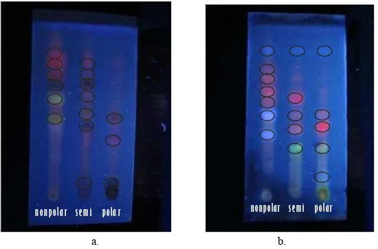 Gambar 7. Hasil Analisis Kromatografi Lapis Tipis Senyawa Flavonoid pada Fraksi Nonpolar, Semipolar dan Polar Ekstrak Etanol Daun Benalu Mangga dideteksi dengan (a) Uap ammonia pada UV365nm; (b) Pereaksi sitroborat pada UV365nm (Keterangan pada Tabel 3-5)