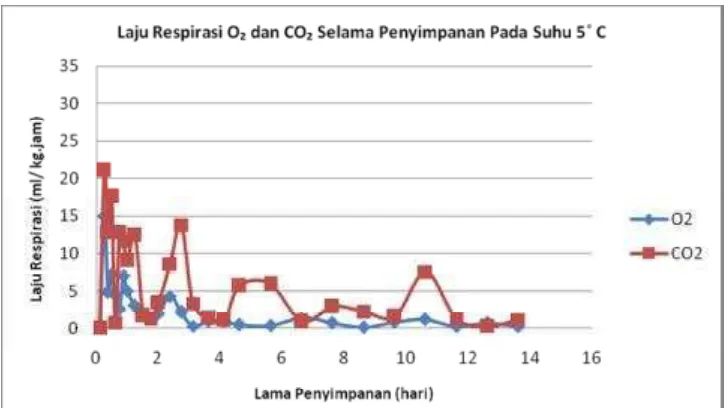 Gambar 28. Grafik laju respirasi O2 dan CO2 buah belimbing dewa tanpa perlakuan aloe  