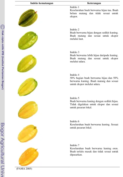 Tabel 1. Indeks Kematangan Buah Belimbing  