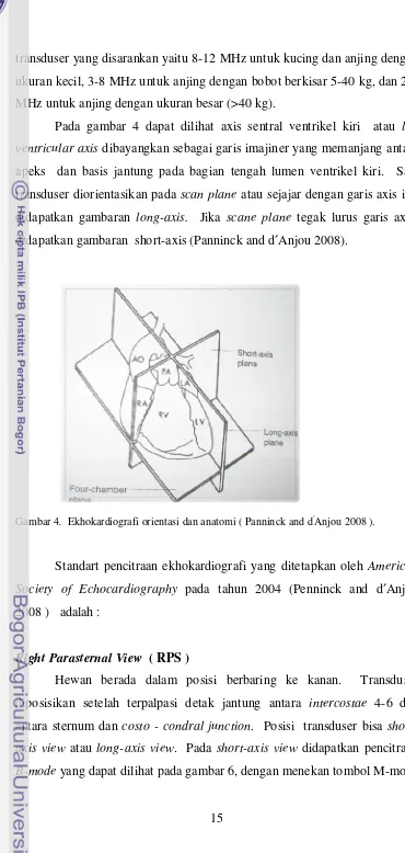 Gambar 4.  Ekhokardiografi orientasi dan anatomi ( Panninck and d′Anjou 2008 ). 