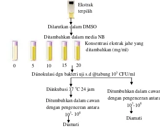 Tabel 9. Kombinasi konsentrasi pengujian aktivitas penghambatan metode dillution broth 